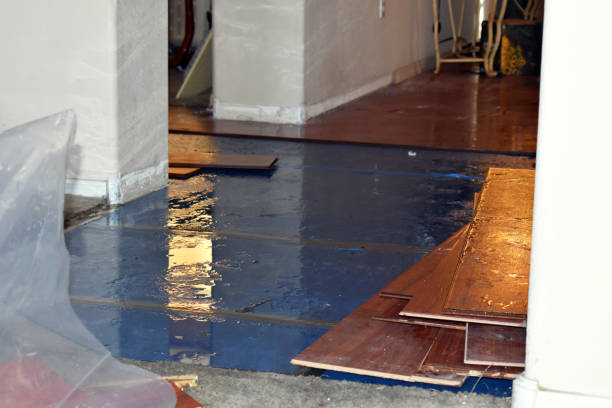 Professional Basement Water Removal technician working in Andrews, IN